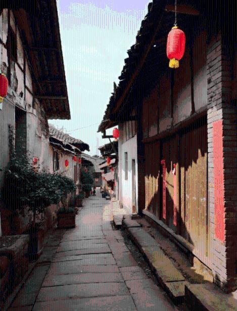 拯救精灵的土地5